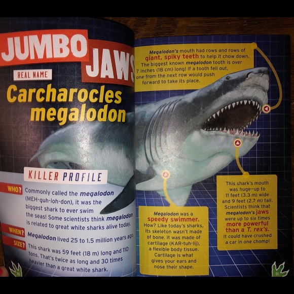 Prehistoric Predators - Picture 3 of 6